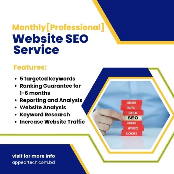 Website SEO Monthly Professional Service