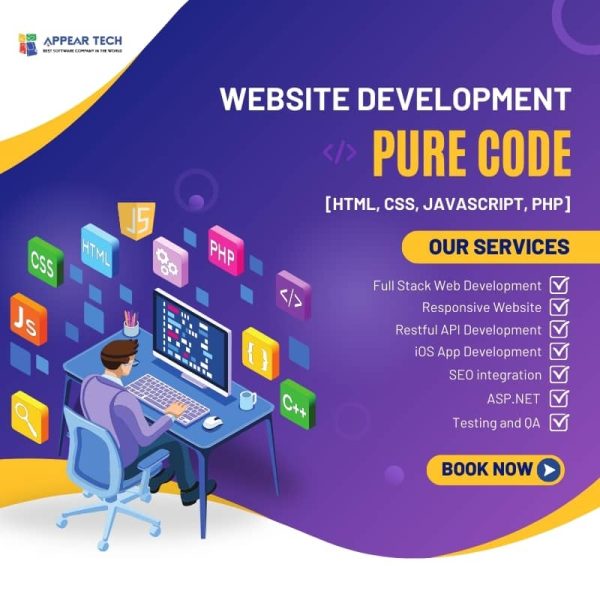 Professional Website Development