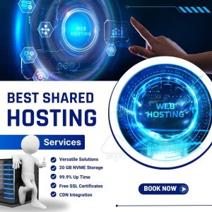 Setting Up Your Website: 20 Gb SSD The Best Shared Hosting Service